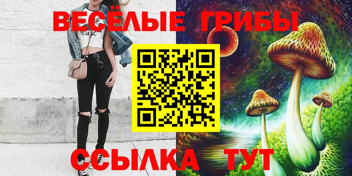 Галлюциногенные грибы GOLDEN TEACHER Полысаево