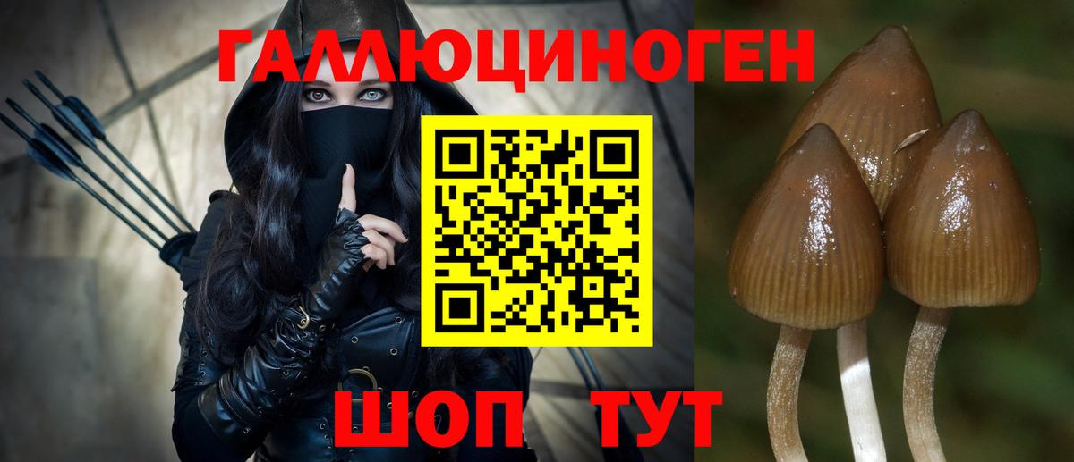 Галлюциногенные грибы Cubensis  Вход с VPN  Полысаево 